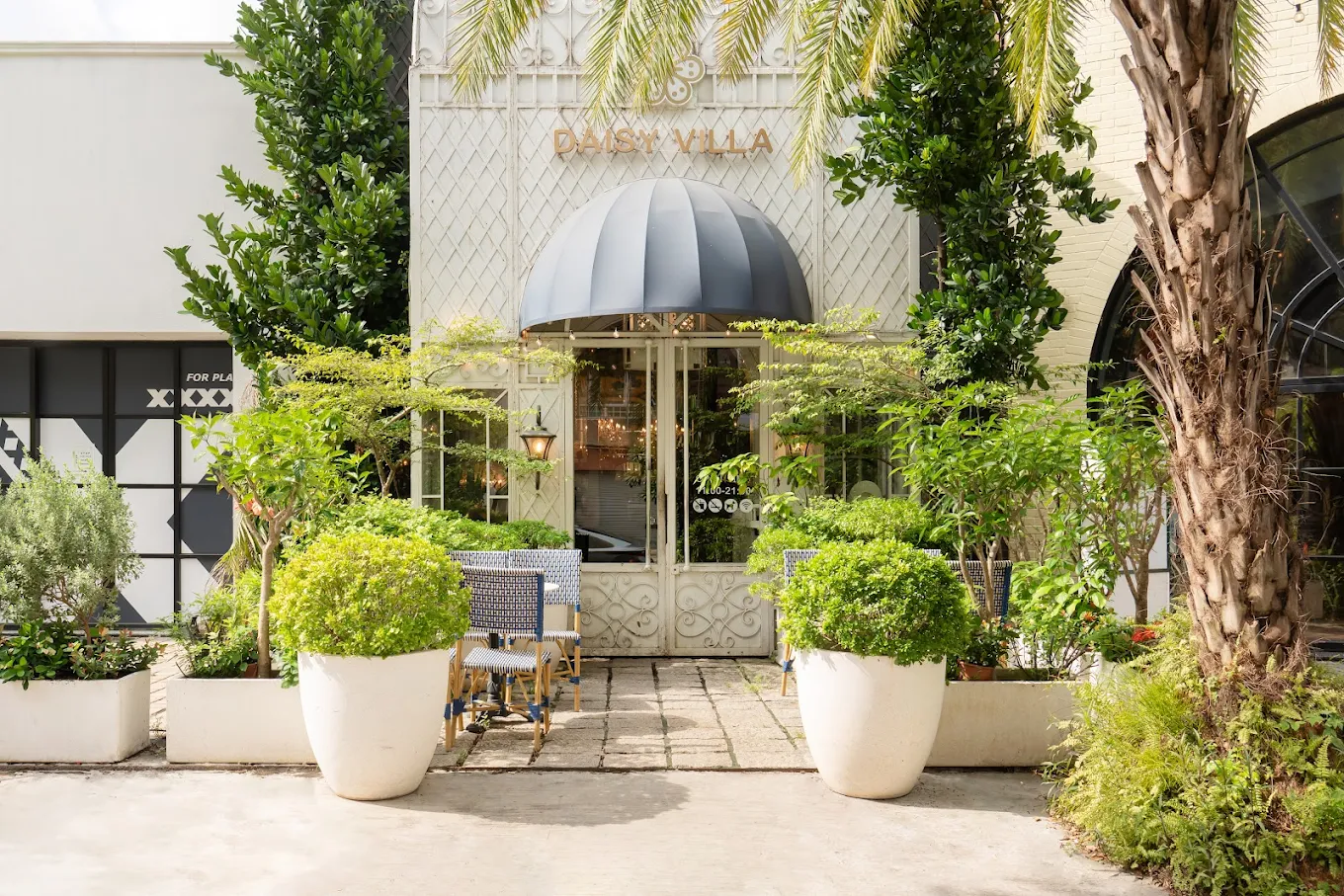 雛菊 Daisy Villa